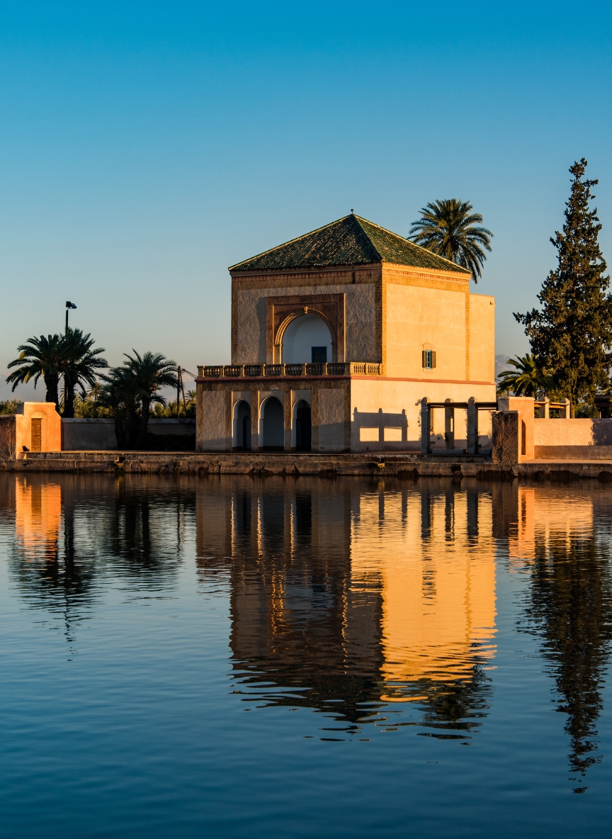 8991146b-0df3-434f-a99f-e376834499a2